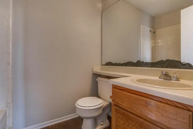 a bathroom with a sink and a toilet