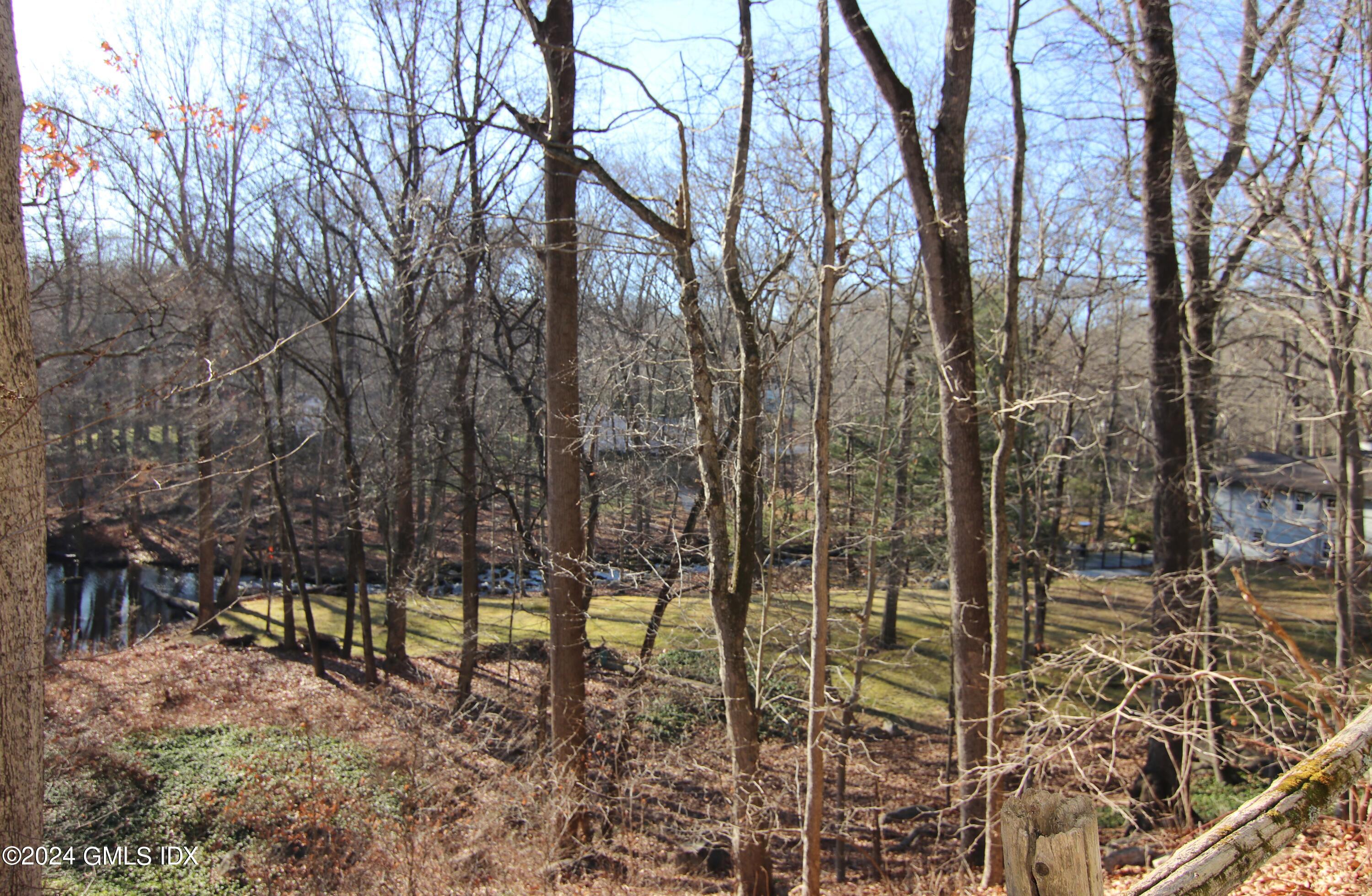 191 Sawmill Road Stamford, CT 06903 - Photo 35 of 40 a view of a forest filled with trees