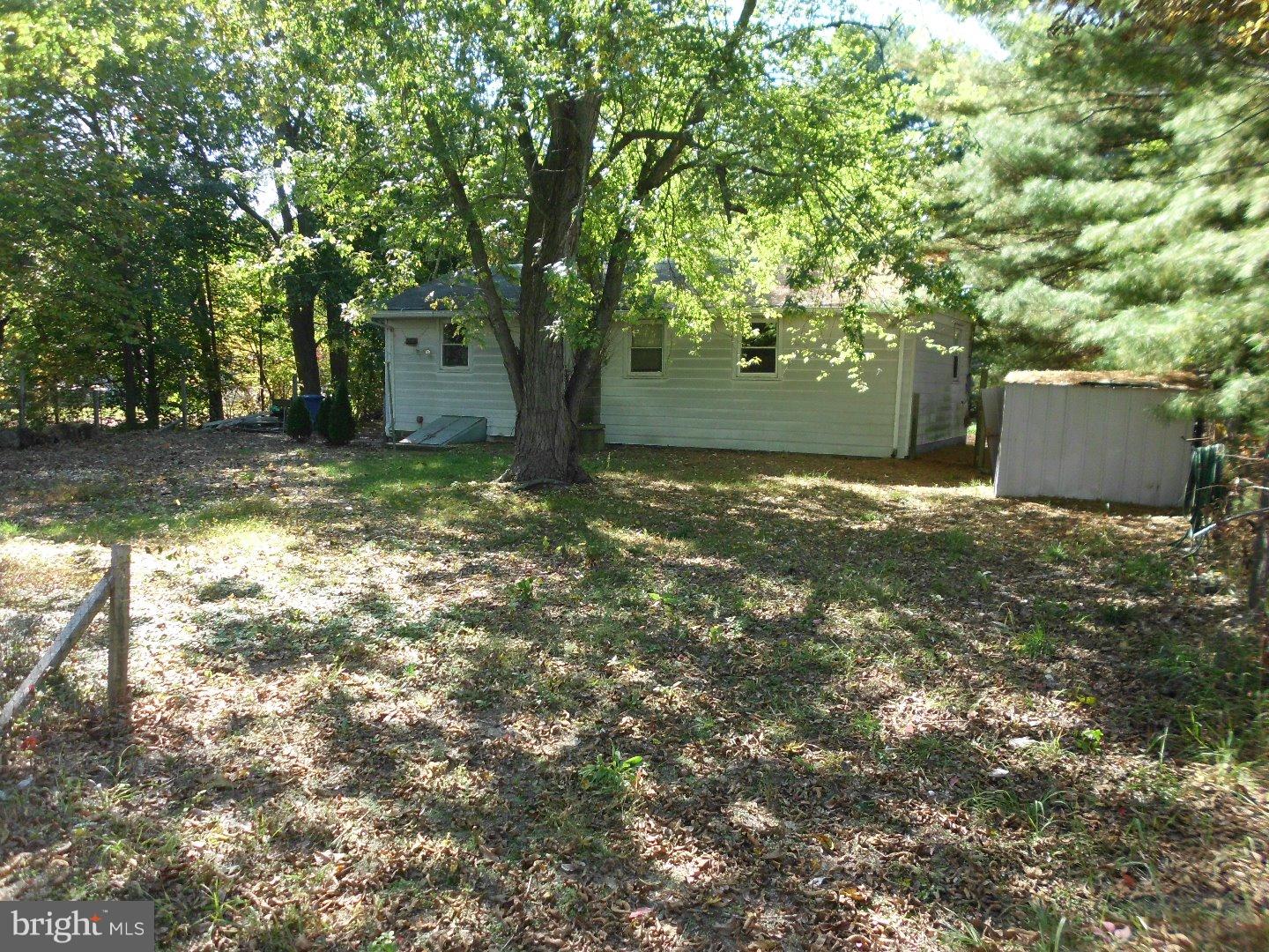 172 Arneys Mt Road Pemberton, NJ 08068 - Photo 7 of 24 a view of a tree in the middle of a yard