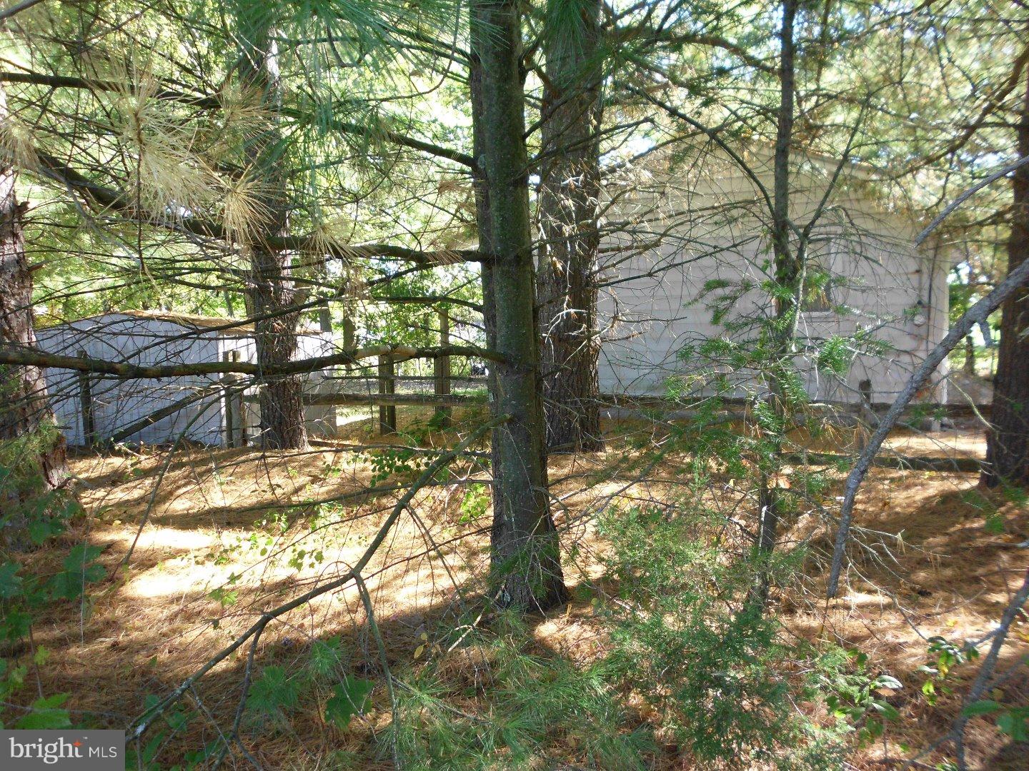 172 Arneys Mt Road Pemberton, NJ 08068 - Photo 8 of 24 a backyard of a house