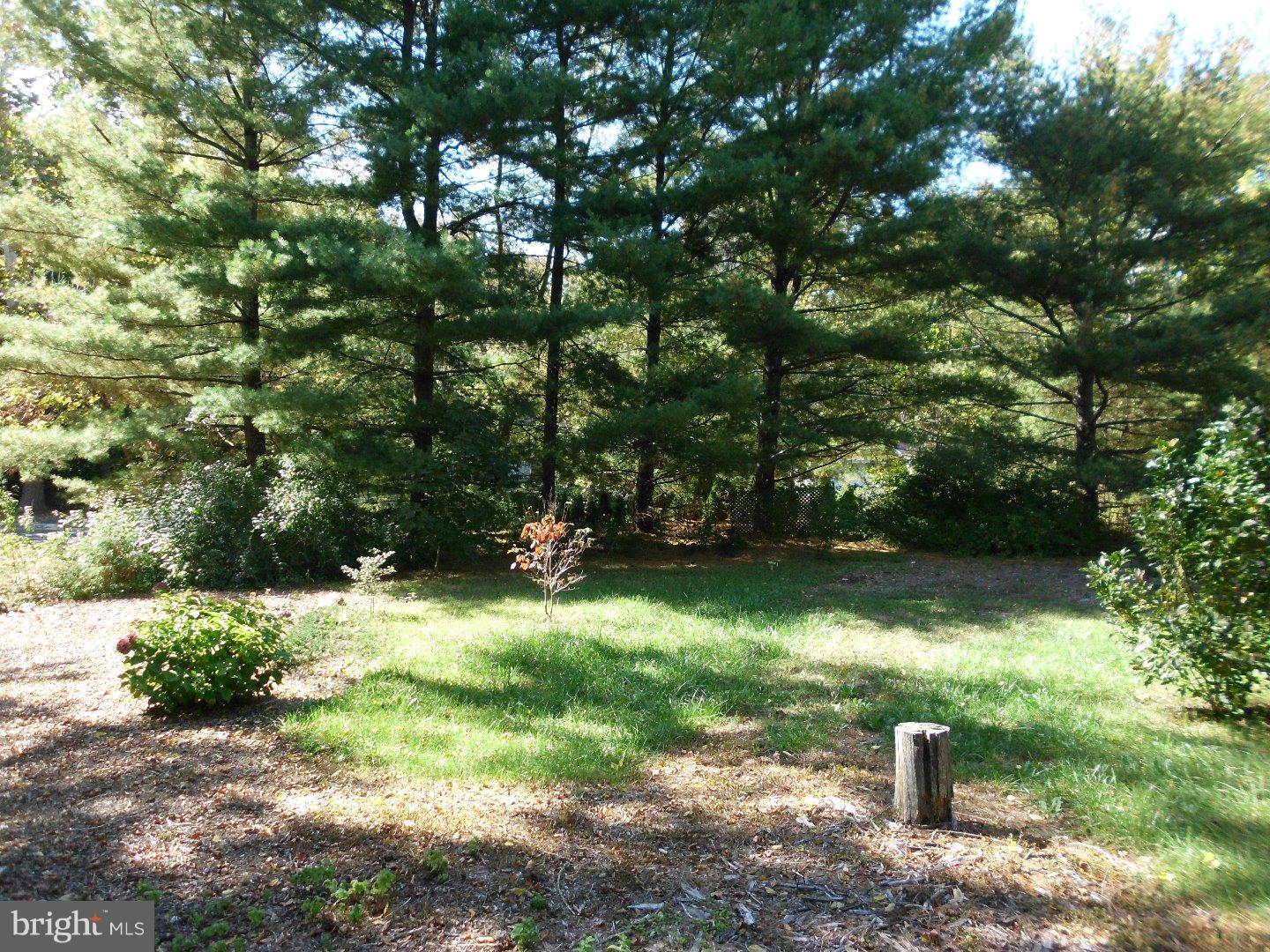 172 Arneys Mt Road Pemberton, NJ 08068 - Photo 9 of 24 a backyard of a house with a yard and outdoor seating