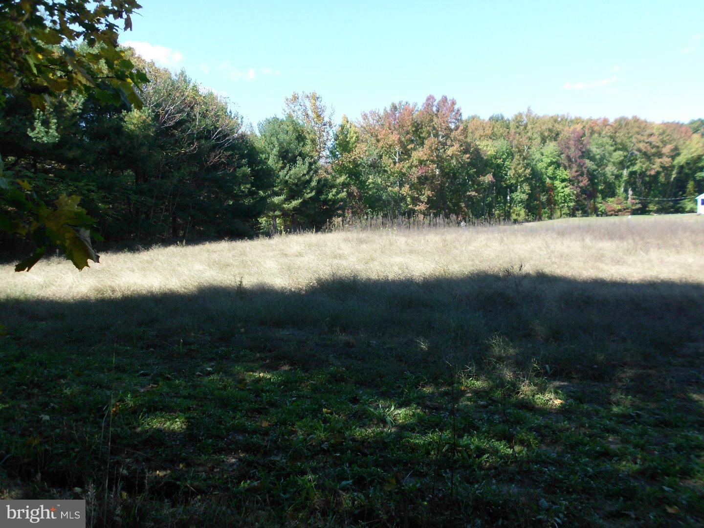 172 Arneys Mt Road Pemberton, NJ 08068 - Photo 10 of 24 a view of mountain view and a lake view