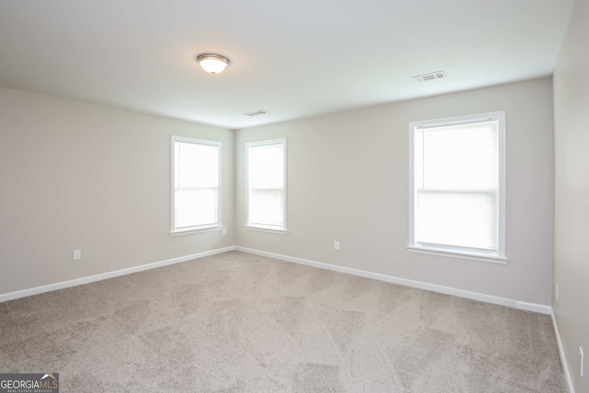 248 Springs Crossing Canton, GA 30114 - Photo 11 of 16