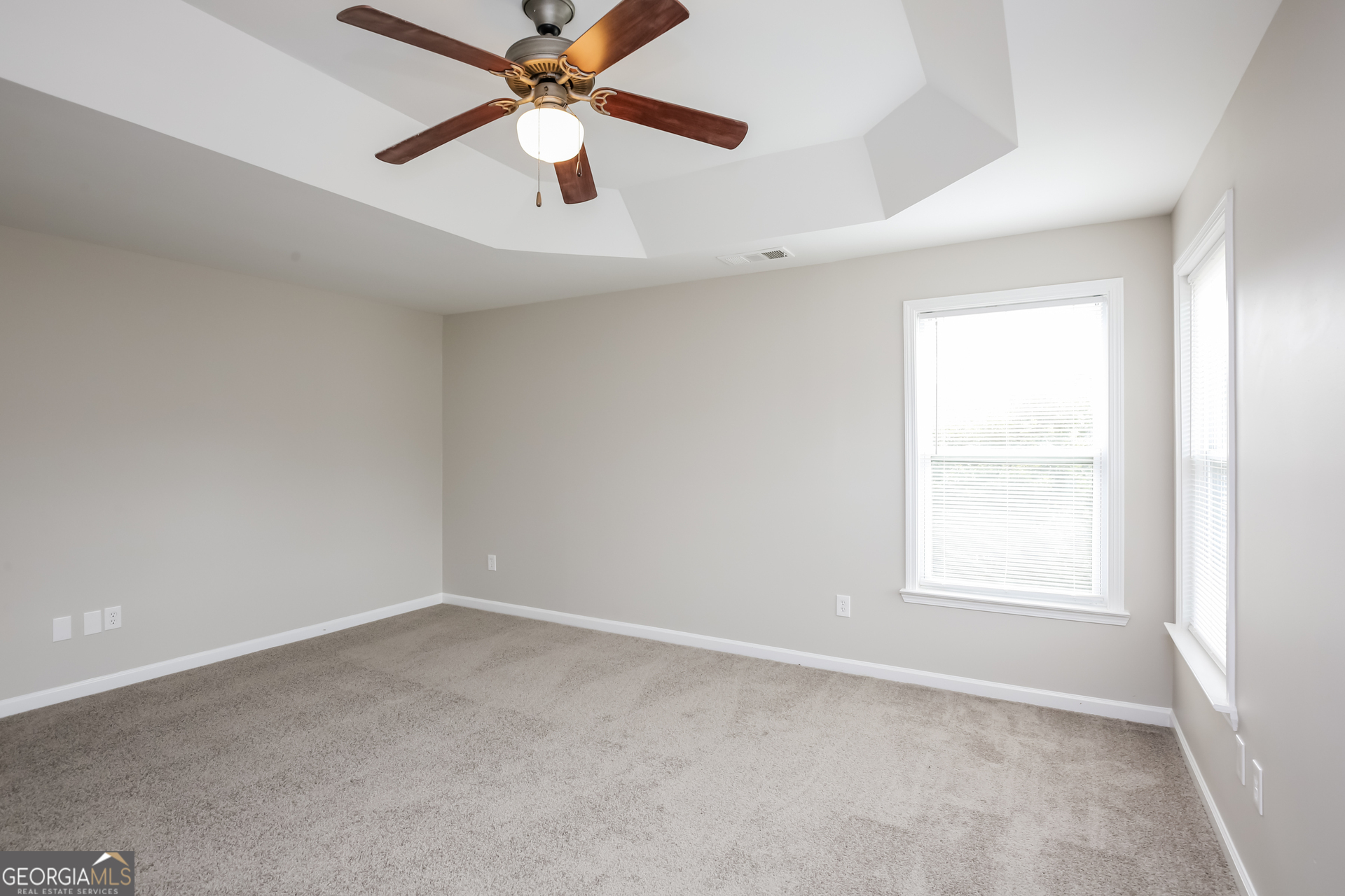 248 Springs Crossing Canton, GA 30114 - Photo 9 of 16