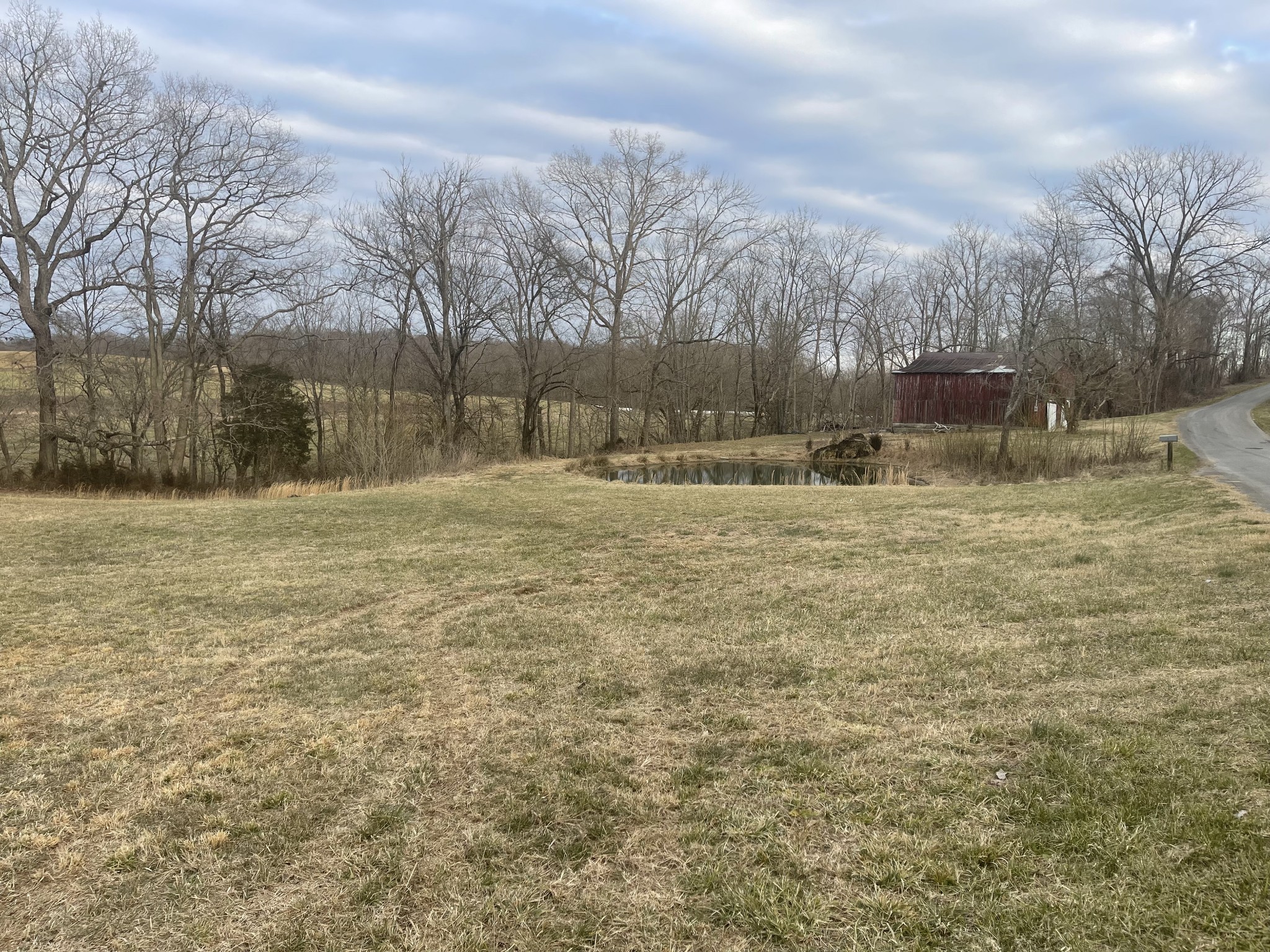 0 Little Trace Creek Road Red Boiling Springs, TN 37150 - Photo 3 of 17 a backyard of a house with trees