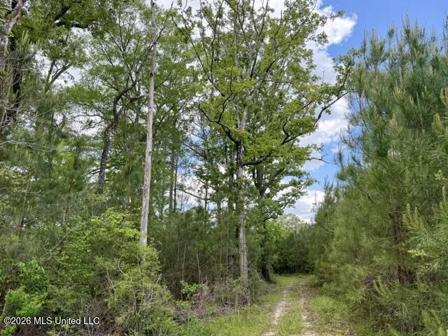 0 Old State Line Road Tylertown, MS 39667 - Photo 18 of 24 IMG_9823
