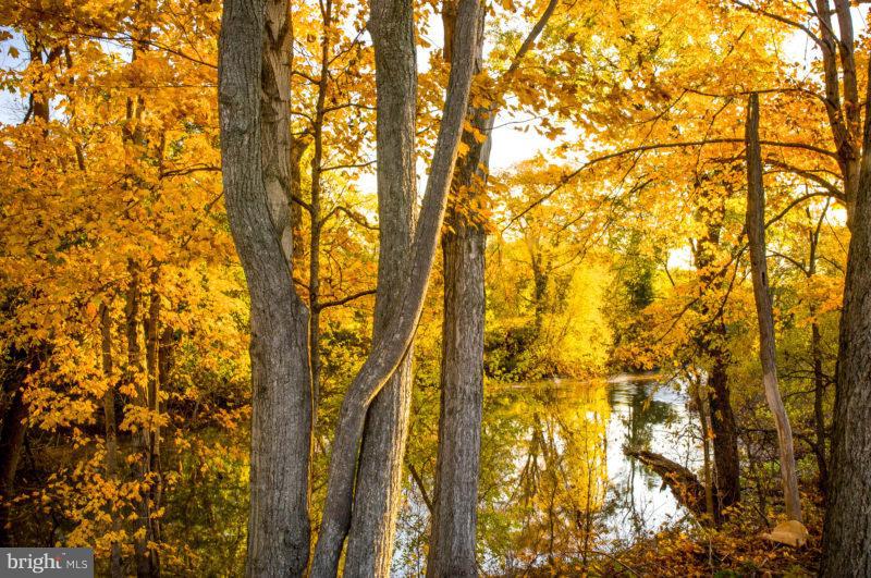 3000 Palatine Drive Frederick, MD 21701 - Photo 15 of 17 MONOCACY RIVER VIEW