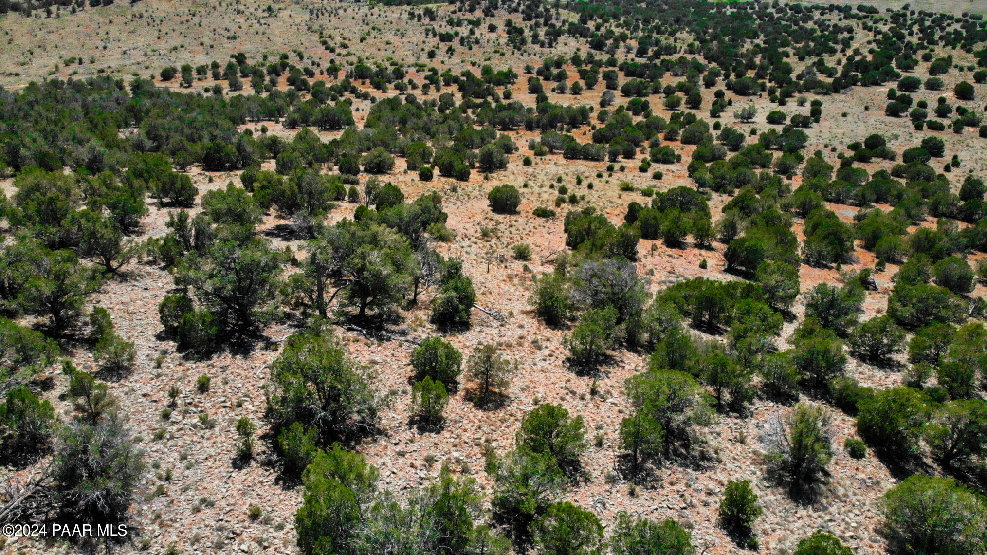 30117010 Q Unnamed Road Seligman, AZ 86337 - Photo 6 of 10 a view of a bunch of trees