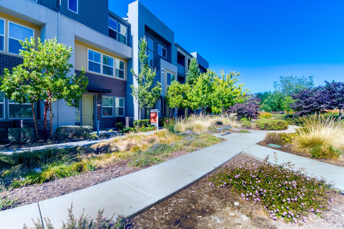 1885 Midnight Circle San Jose, CA 95133 - Photo 32 of 39 a view of a house with a yard and potted plants