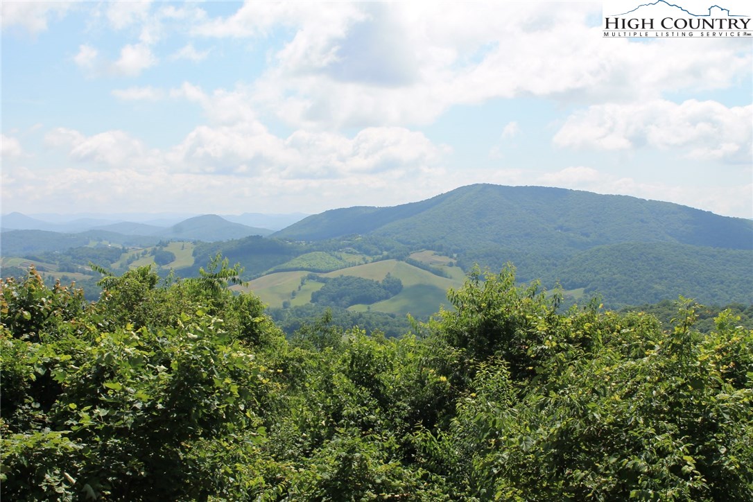 2359 Homestead Road Todd, NC 28684 - Photo 10 of 18 Gallery Image 10
