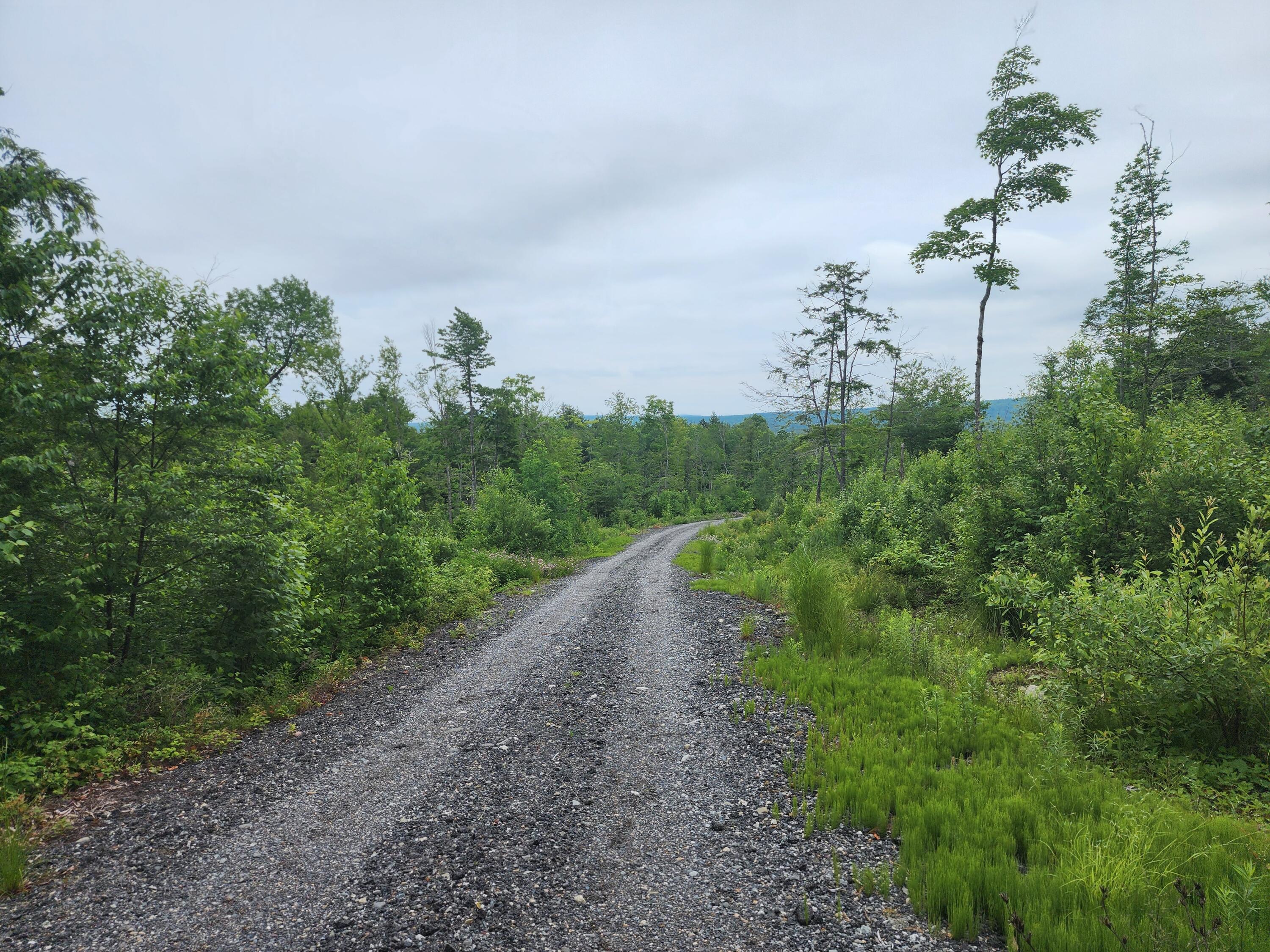 213 Moose Hl Road Ellsworth, ME 04605 - Photo 16 of 34 20250701_113240