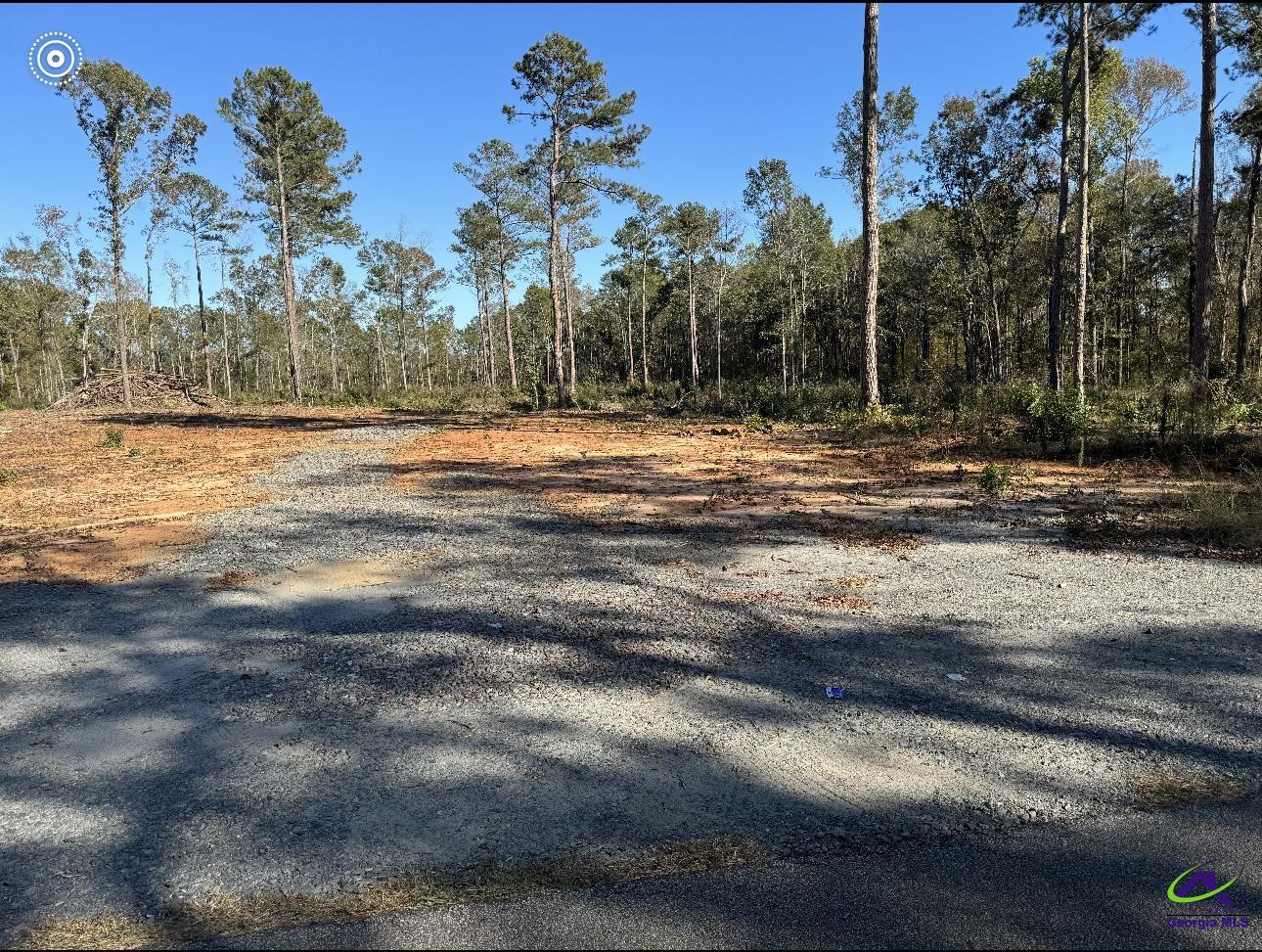 Tract-8 Lower Simmons Road Macon, GA 31220 - Photo 5 of 13