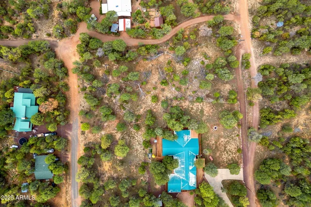 a view of yard with large trees