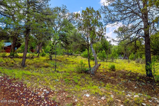$75,000 | 1909 Chevelon Road, Unit 1909, Heber, AZ 85928