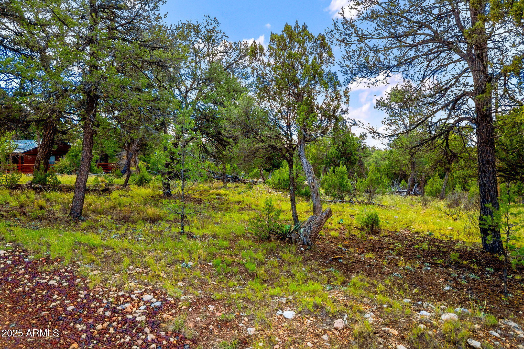 1909 Chevelon Road, Unit 1909 Heber, AZ 85928 - Photo 14 of 16 a view of swimming pool with a yard