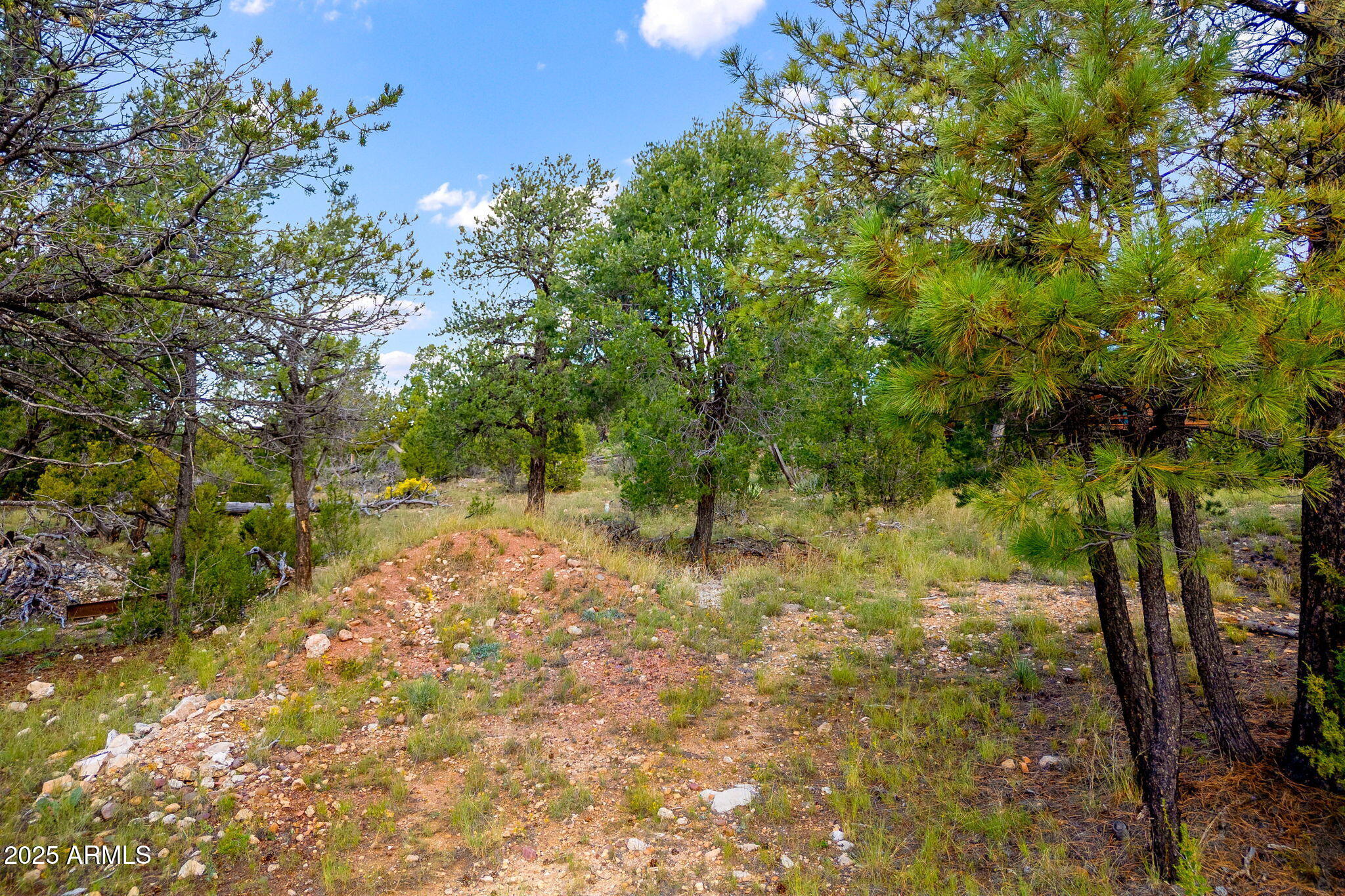 1909 Chevelon Road, Unit 1909 Heber, AZ 85928 - Photo 15 of 16 a view of yard