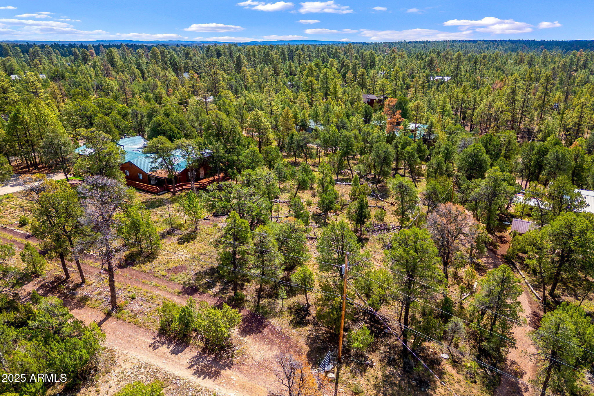1909 Chevelon Road, Unit 1909 Heber, AZ 85928 - Photo 3 of 16 a view of a green field