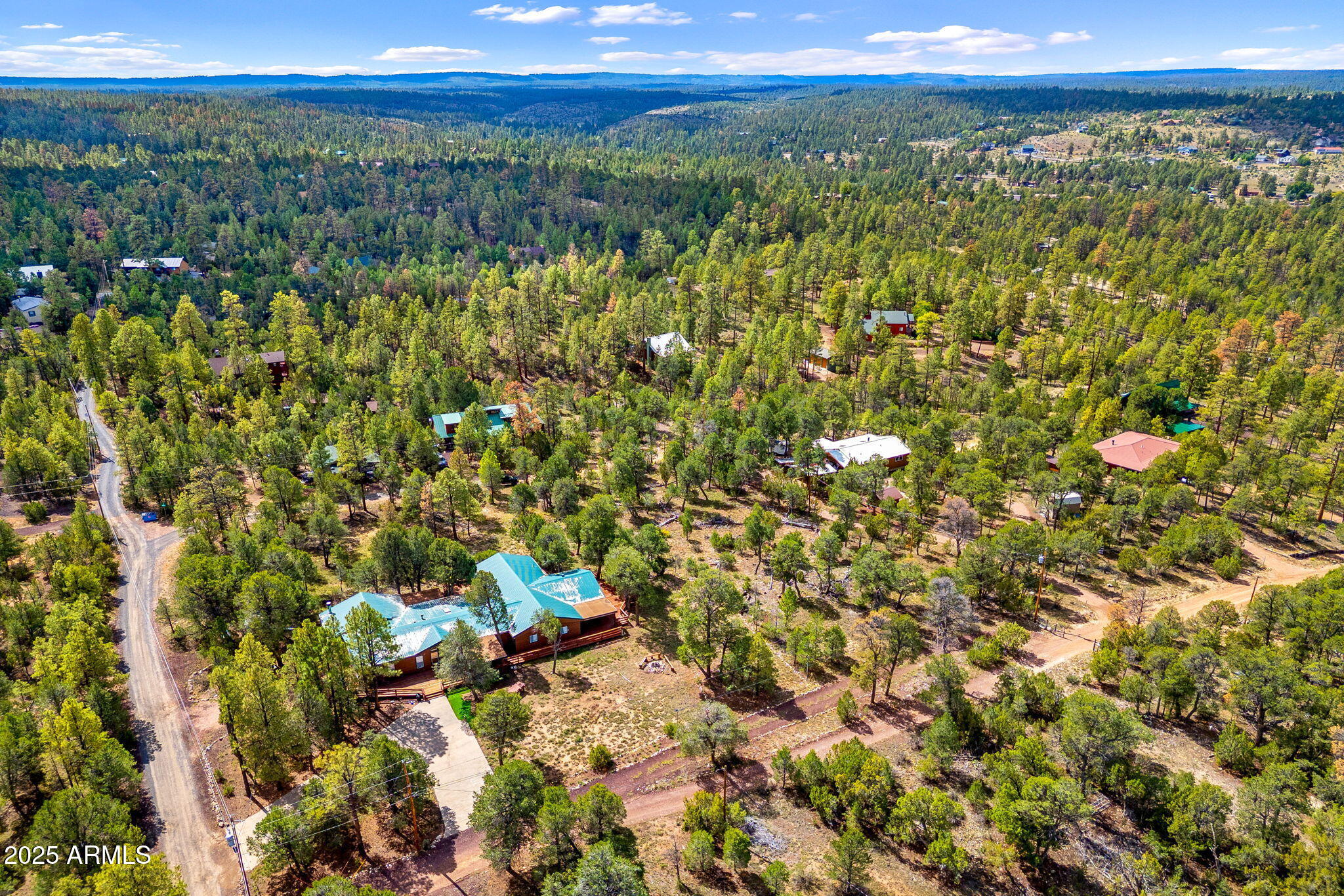 1909 Chevelon Road, Unit 1909 Heber, AZ 85928 - Photo 5 of 16 a view of a lush green forest with lots of trees