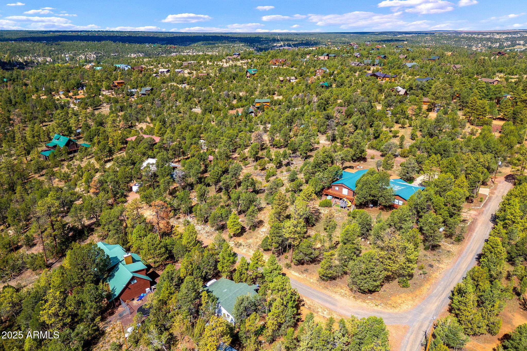 1909 Chevelon Road, Unit 1909 Heber, AZ 85928 - Photo 8 of 16 a view of a lots of trees