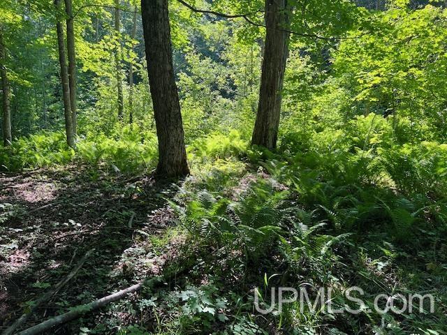 11.6 Acres Off Remington Road Marquette, MI 49855 - Photo 22 of 39