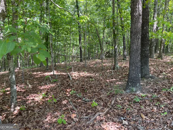 $82,500 | Lot 2-3 Chalcrest Way, Cave Spring, GA 30124