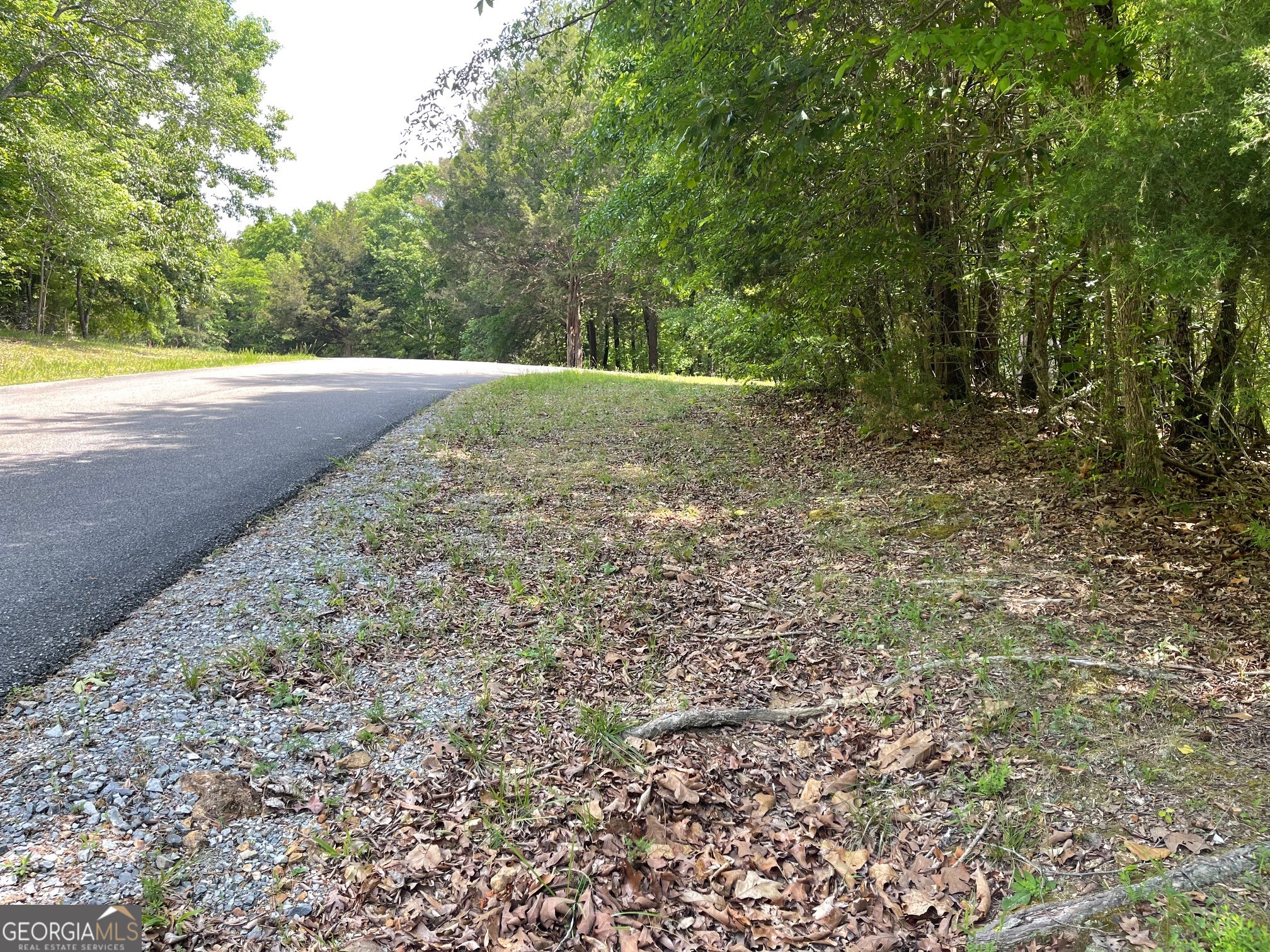 Lot 2-3 Chalcrest Way Cave Spring, GA 30124 - Photo 11 of 53