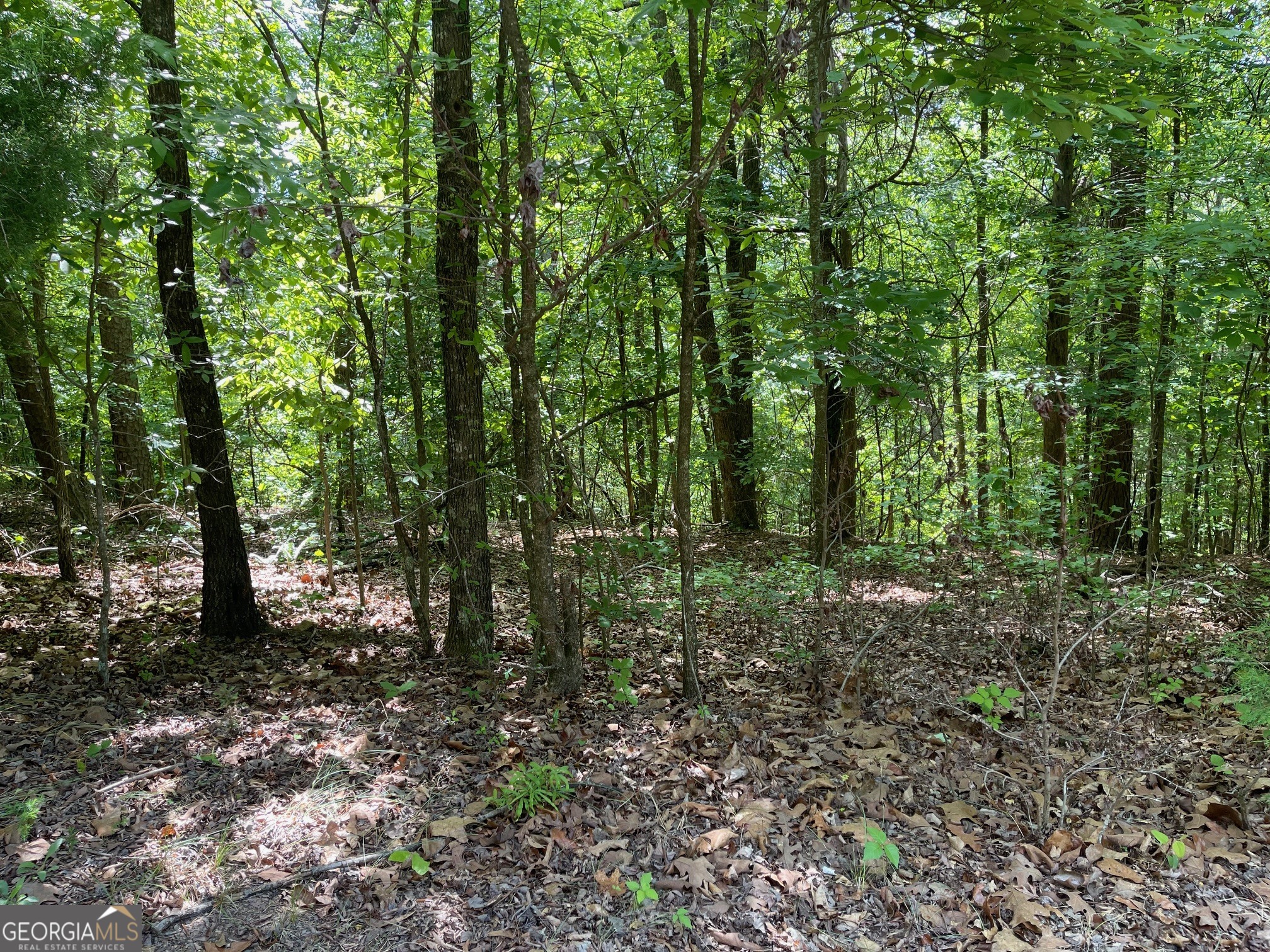 Lot 2-3 Chalcrest Way Cave Spring, GA 30124 - Photo 12 of 53