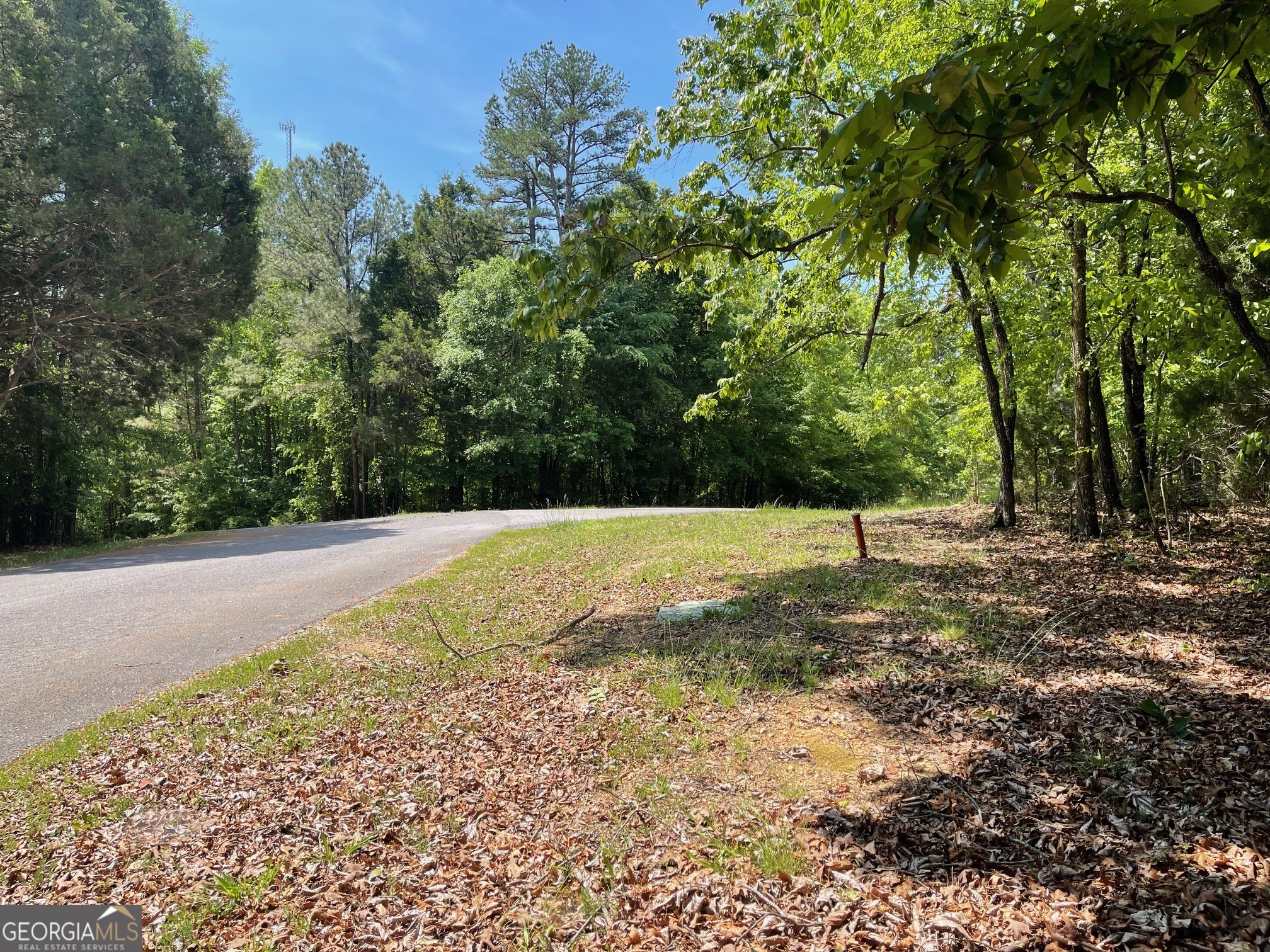Lot 2-3 Chalcrest Way Cave Spring, GA 30124 - Photo 13 of 53