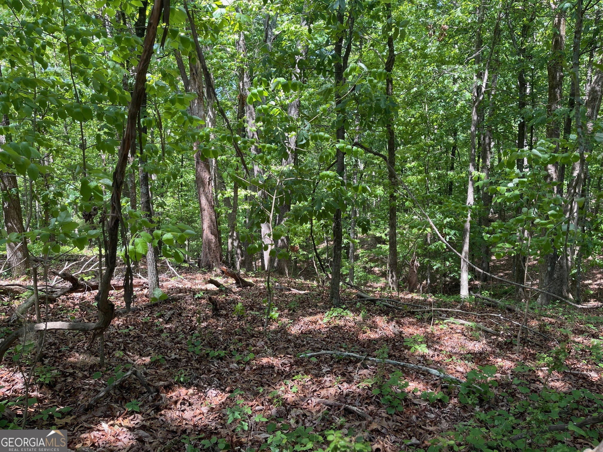 Lot 2-3 Chalcrest Way Cave Spring, GA 30124 - Photo 14 of 53