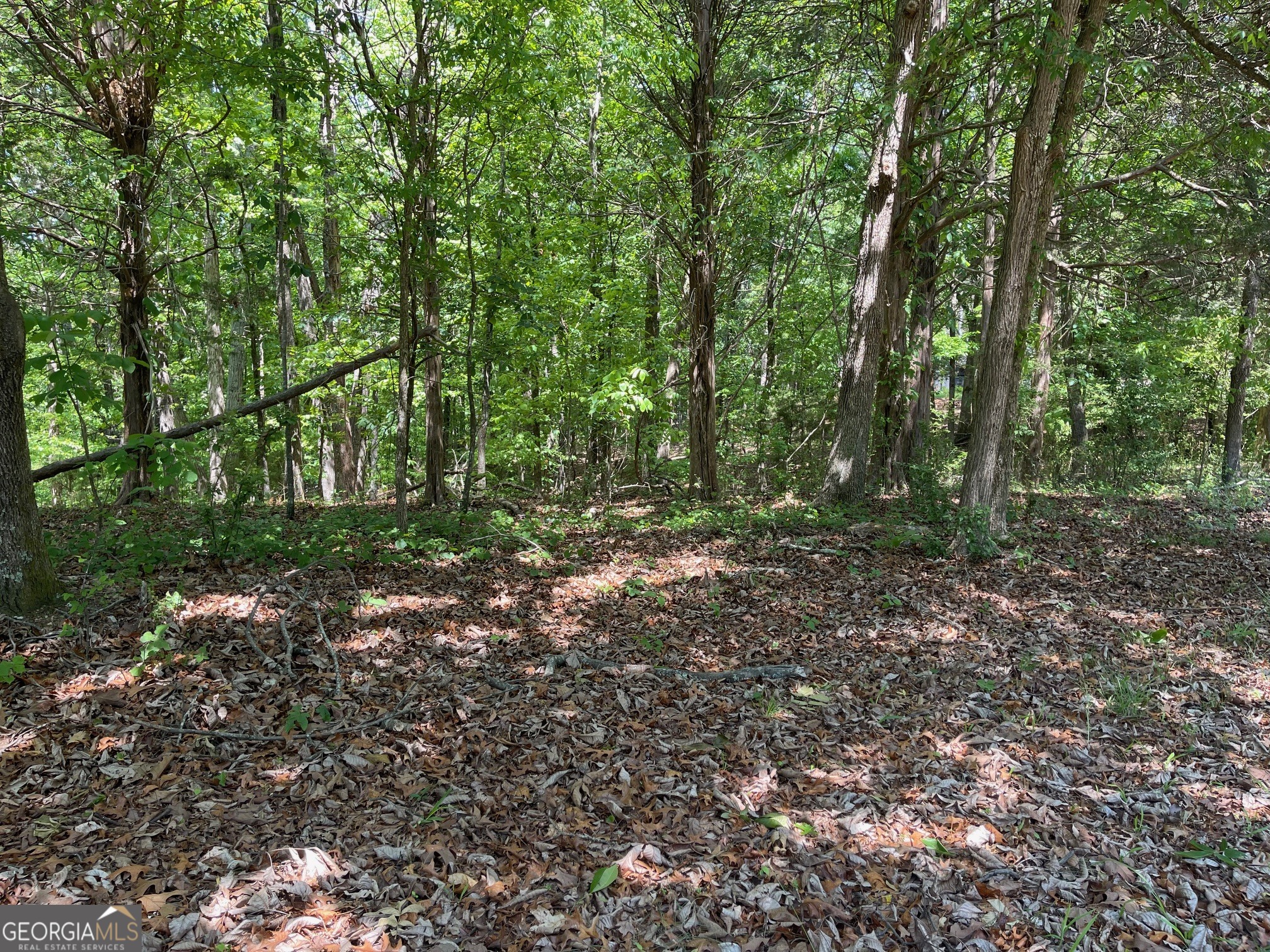 Lot 2-3 Chalcrest Way Cave Spring, GA 30124 - Photo 15 of 53