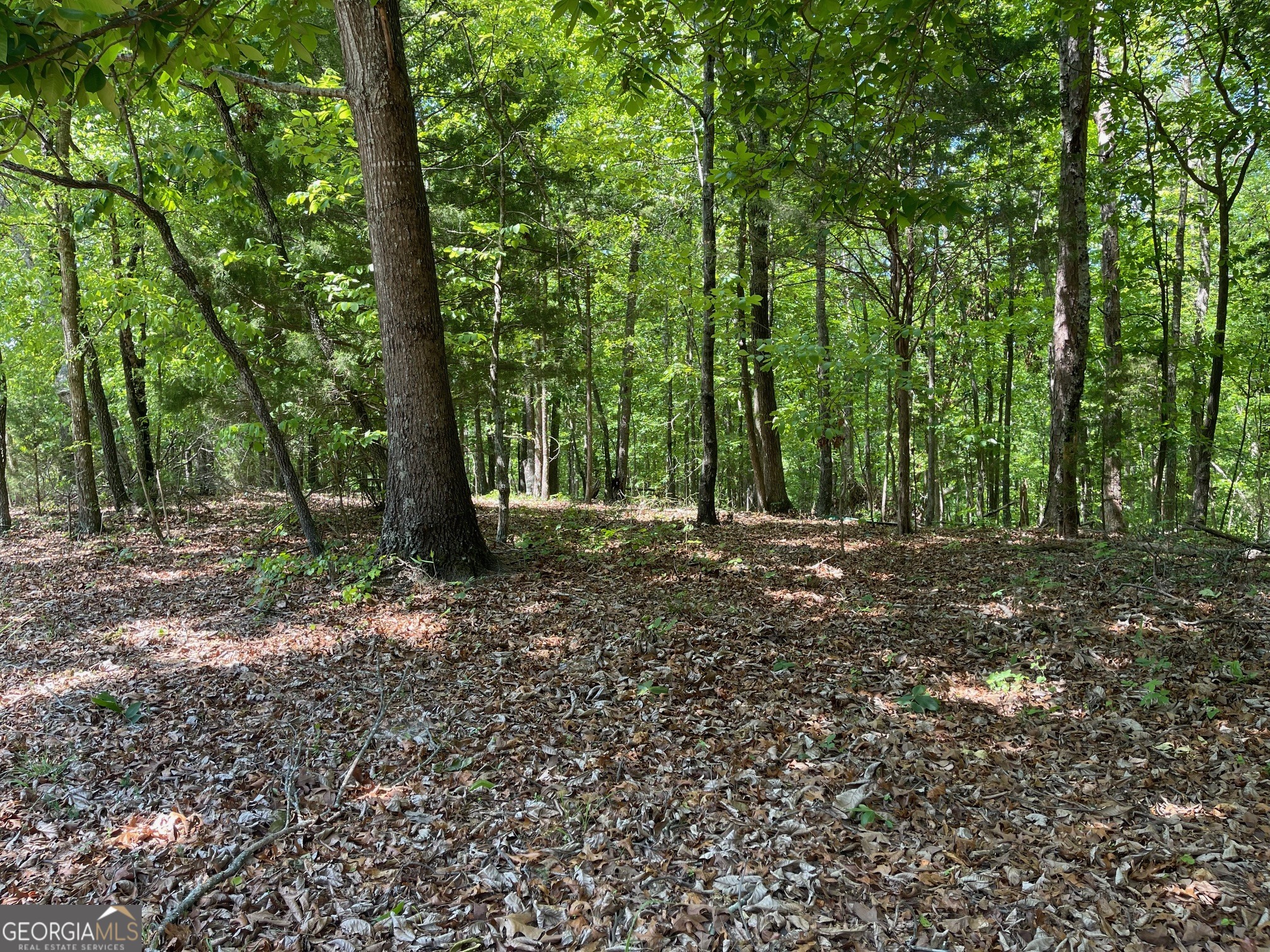 Lot 2-3 Chalcrest Way Cave Spring, GA 30124 - Photo 16 of 53