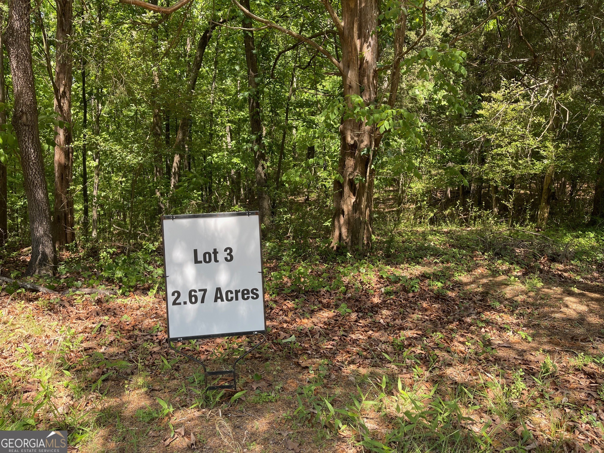 Lot 2-3 Chalcrest Way Cave Spring, GA 30124 - Photo 17 of 53