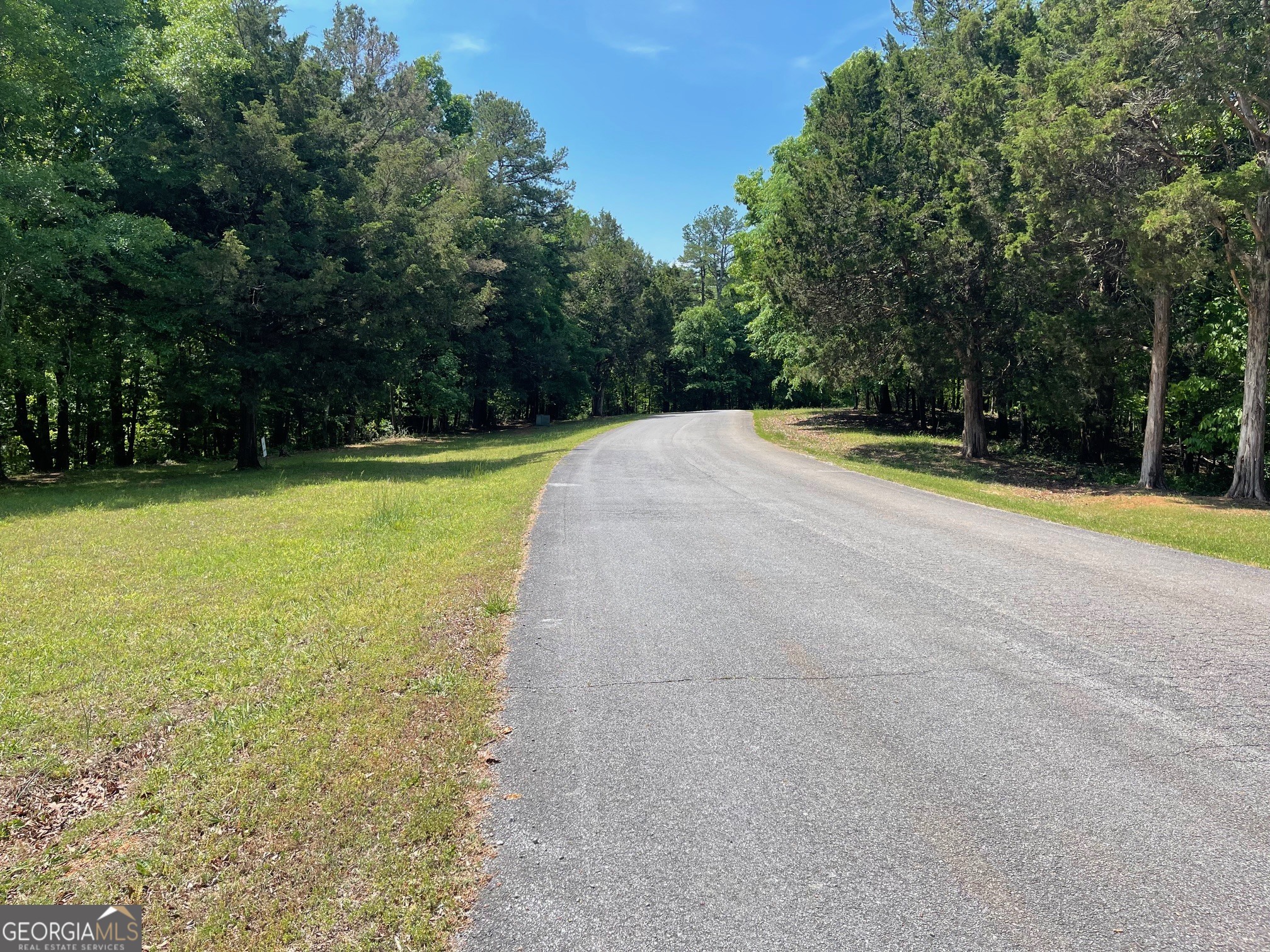 Lot 2-3 Chalcrest Way Cave Spring, GA 30124 - Photo 18 of 53