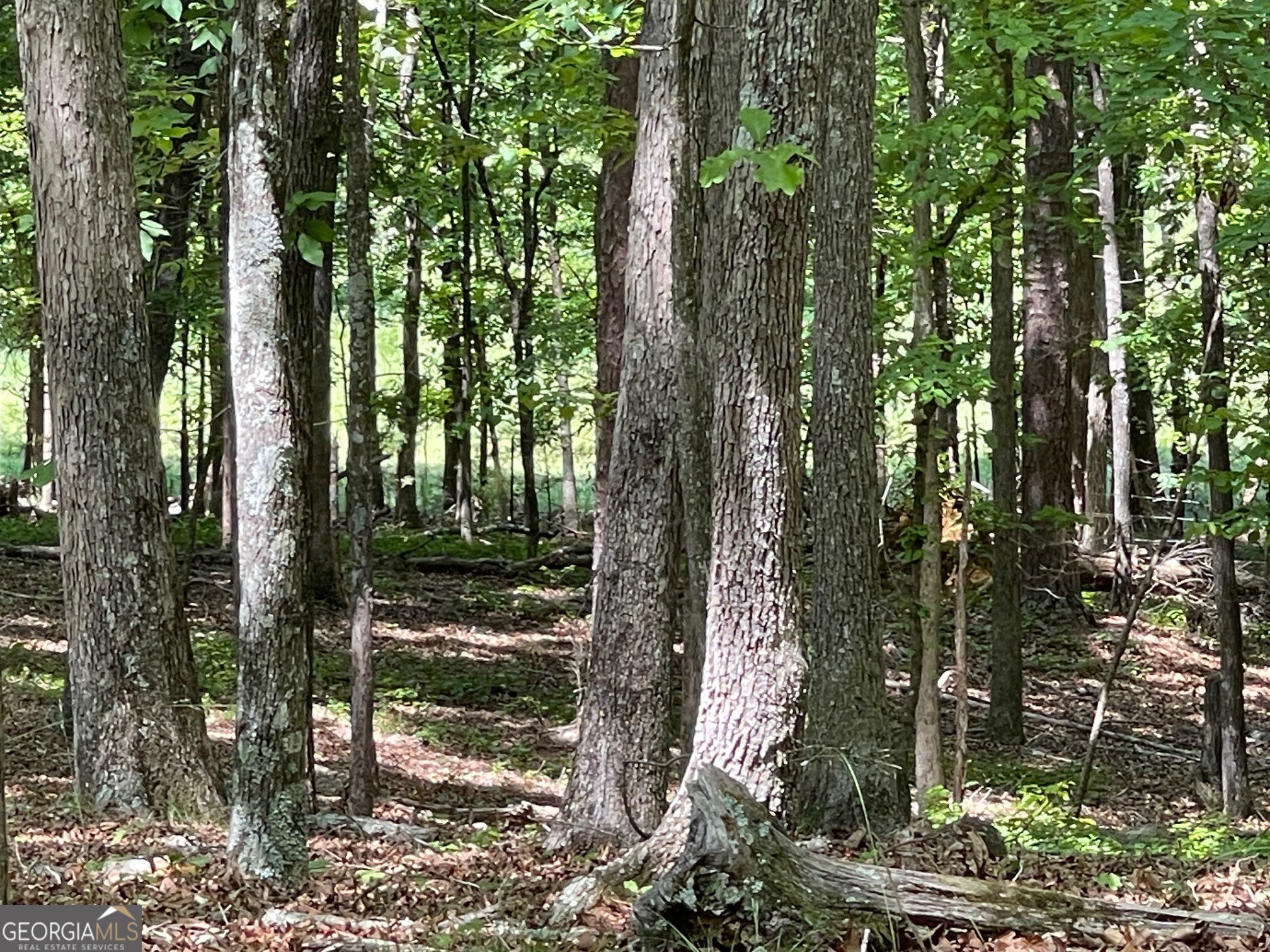 Lot 2-3 Chalcrest Way Cave Spring, GA 30124 - Photo 2 of 53