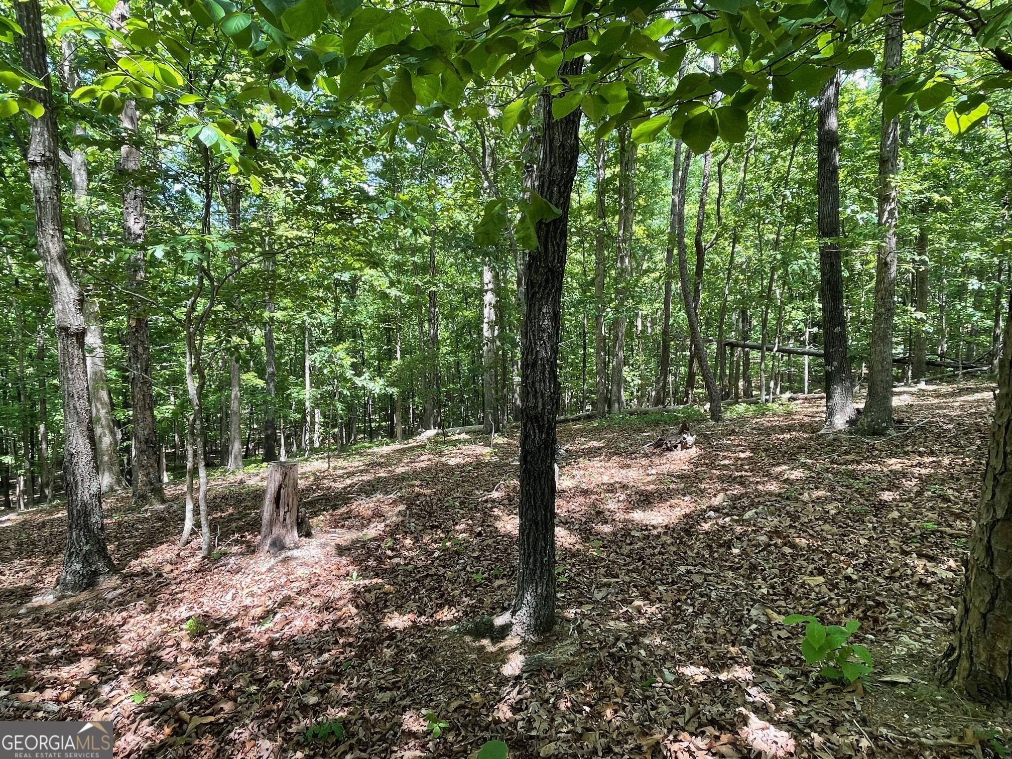 Lot 2-3 Chalcrest Way Cave Spring, GA 30124 - Photo 3 of 53