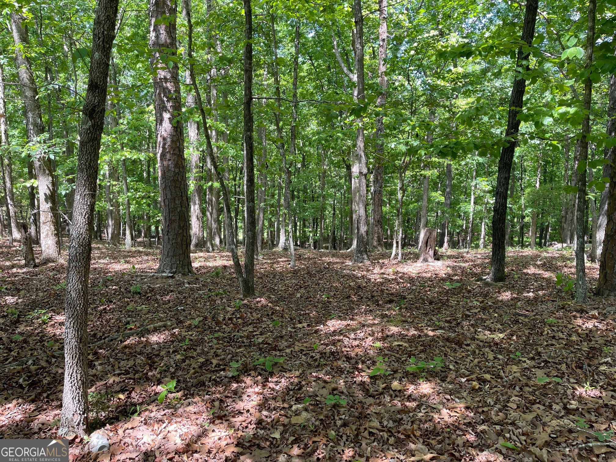 Lot 2-3 Chalcrest Way Cave Spring, GA 30124 - Photo 4 of 53