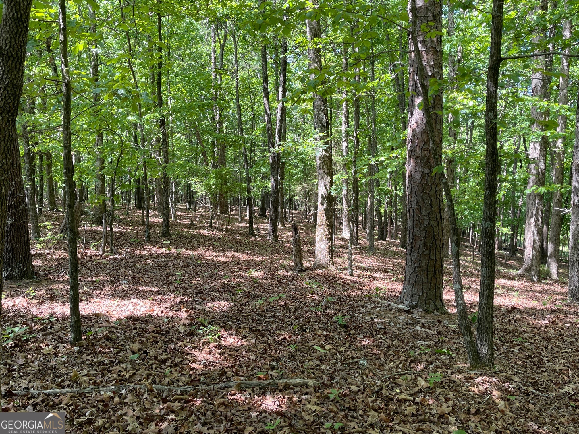 Lot 2-3 Chalcrest Way Cave Spring, GA 30124 - Photo 5 of 53