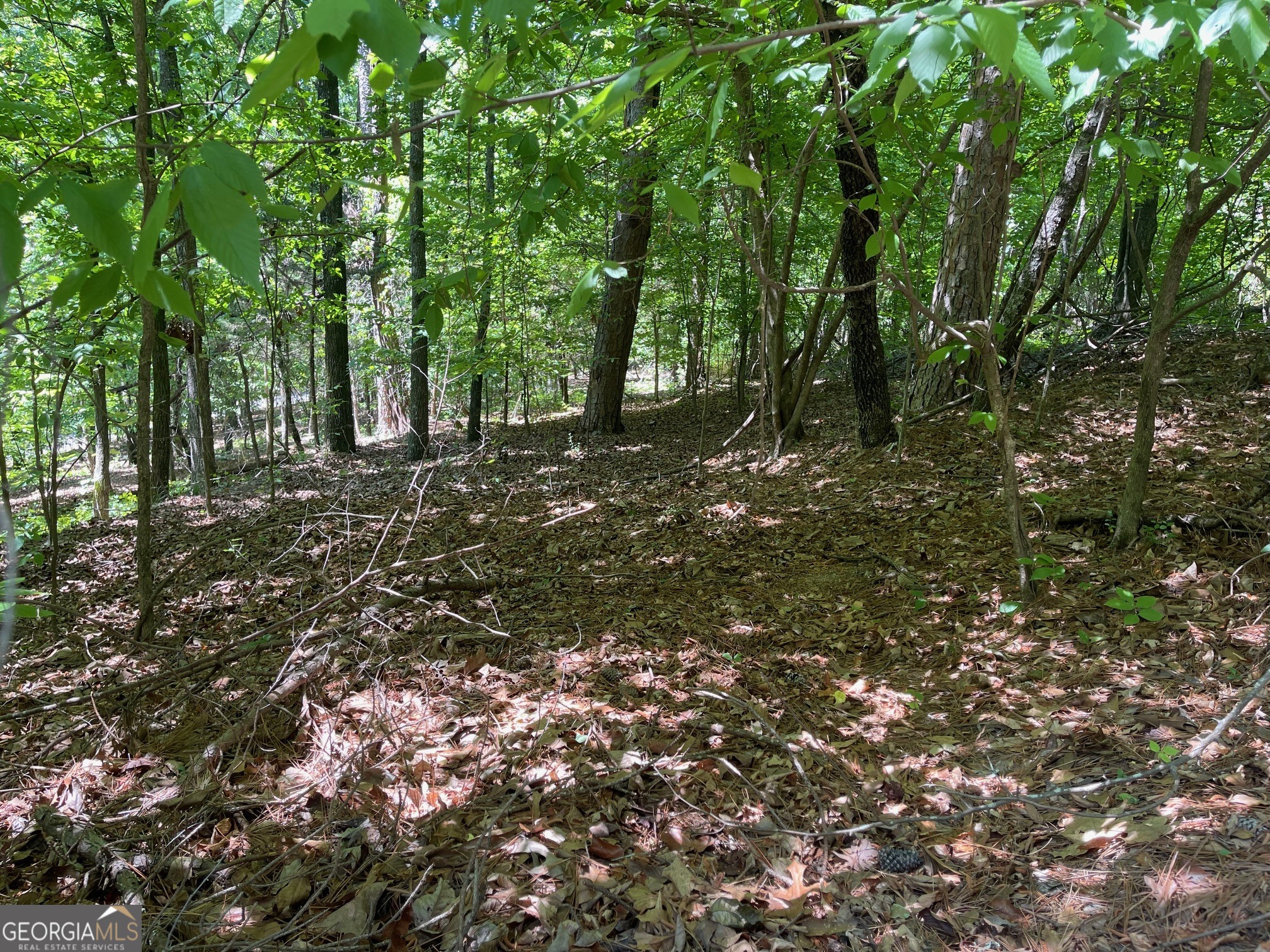 Lot 2-3 Chalcrest Way Cave Spring, GA 30124 - Photo 8 of 53