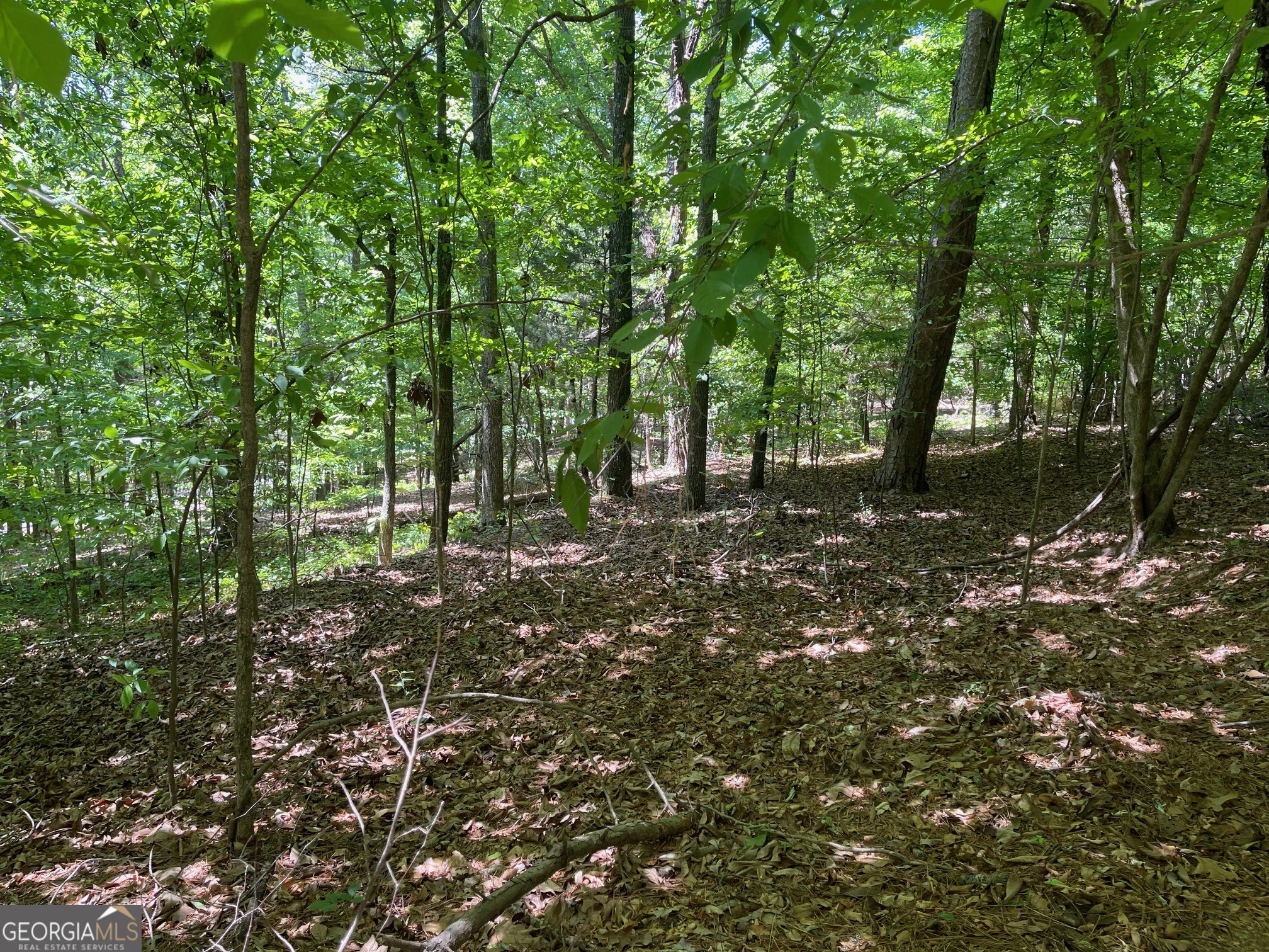 Lot 2-3 Chalcrest Way Cave Spring, GA 30124 - Photo 9 of 53