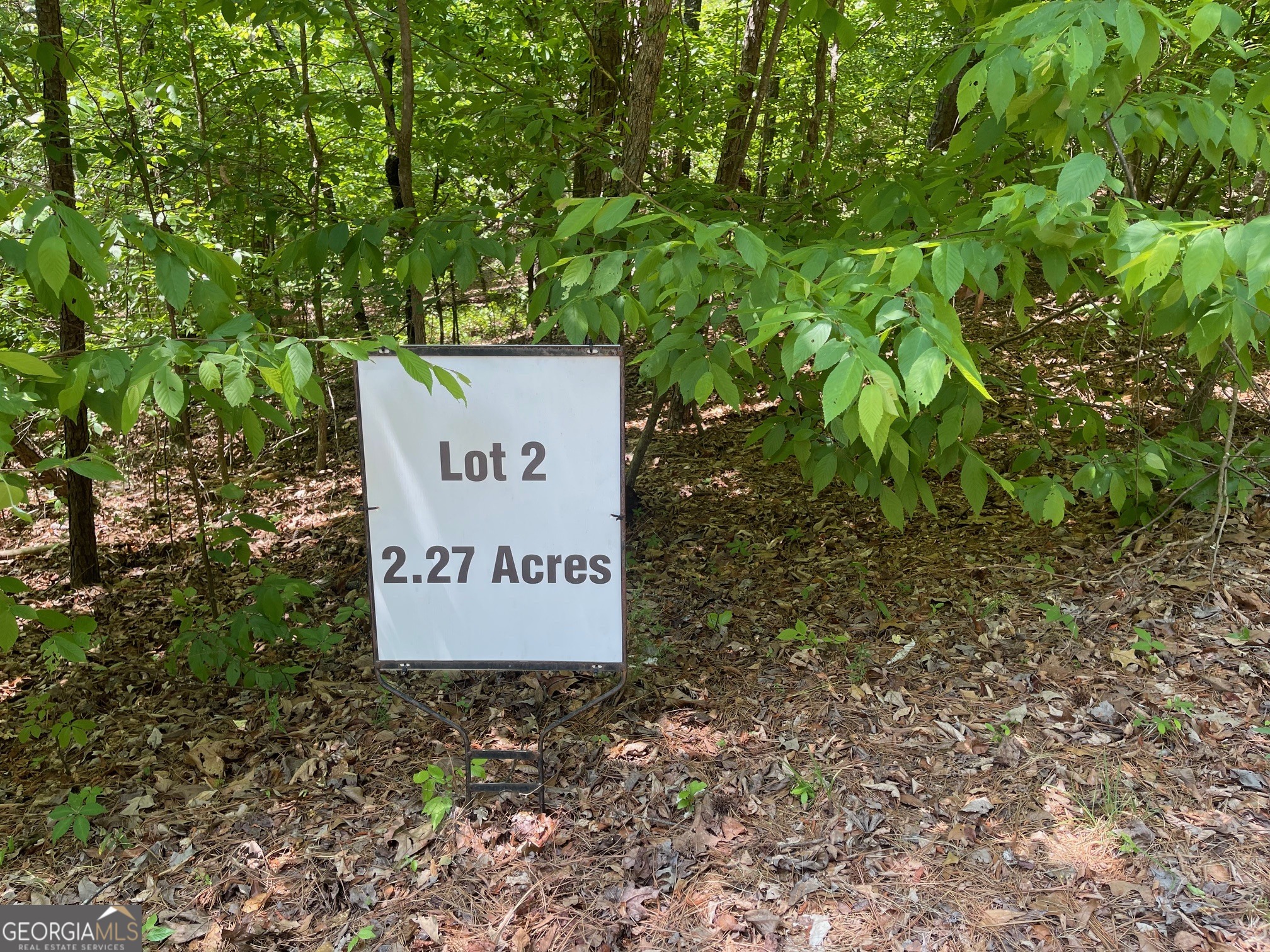 Lot 2-3 Chalcrest Way Cave Spring, GA 30124 - Photo 10 of 53