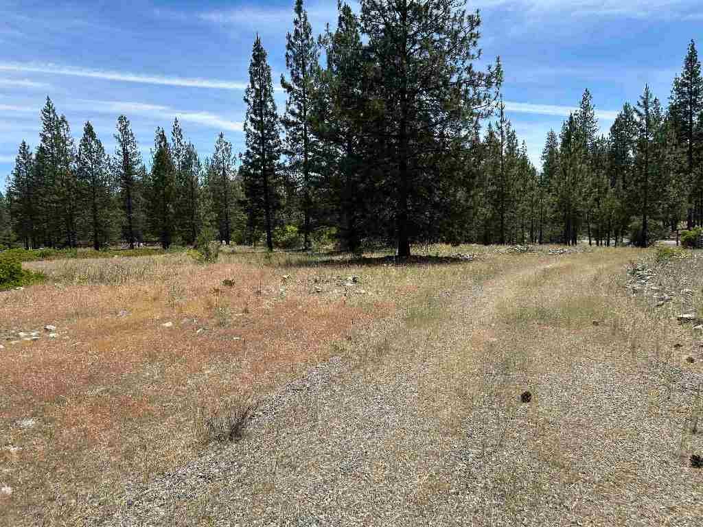 0 Patterson Creek Road Etna, CA 96027 - Photo 7 of 10 Gallery Image 7