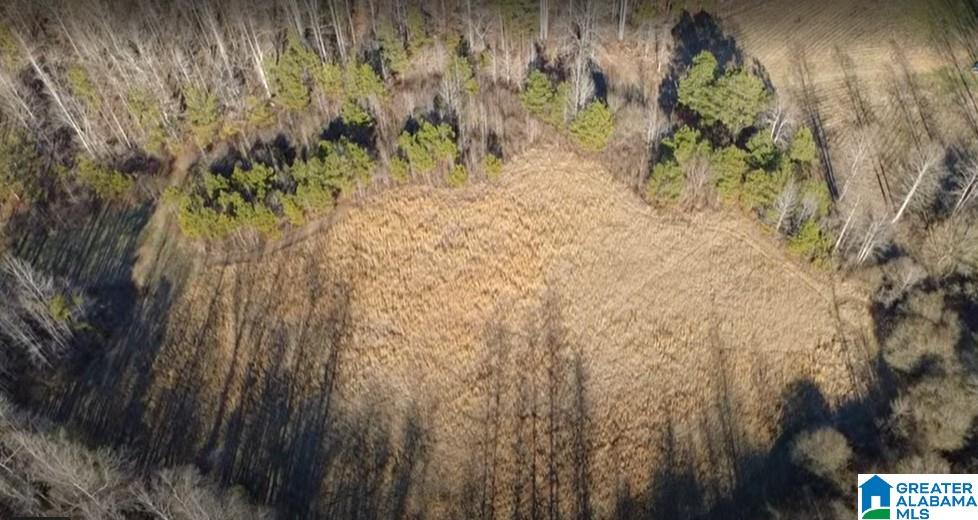 773 County Road 949, Unit 1 Fruithurst, AL 36262 - Photo 7 of 10