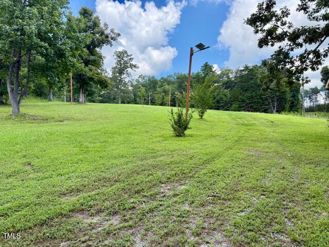 Lot D Swallowtail Drive Semora, NC 27343 - Photo 12 of 16 a view of field with green space