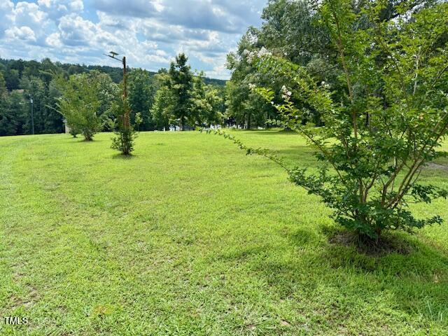 Lot D Swallowtail Drive Semora, NC 27343 - Photo 9 of 16 a view of a park with large trees