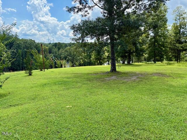 Lot D Swallowtail Drive Semora, NC 27343 - Photo 10 of 16 a big yard with lots of green space and trees