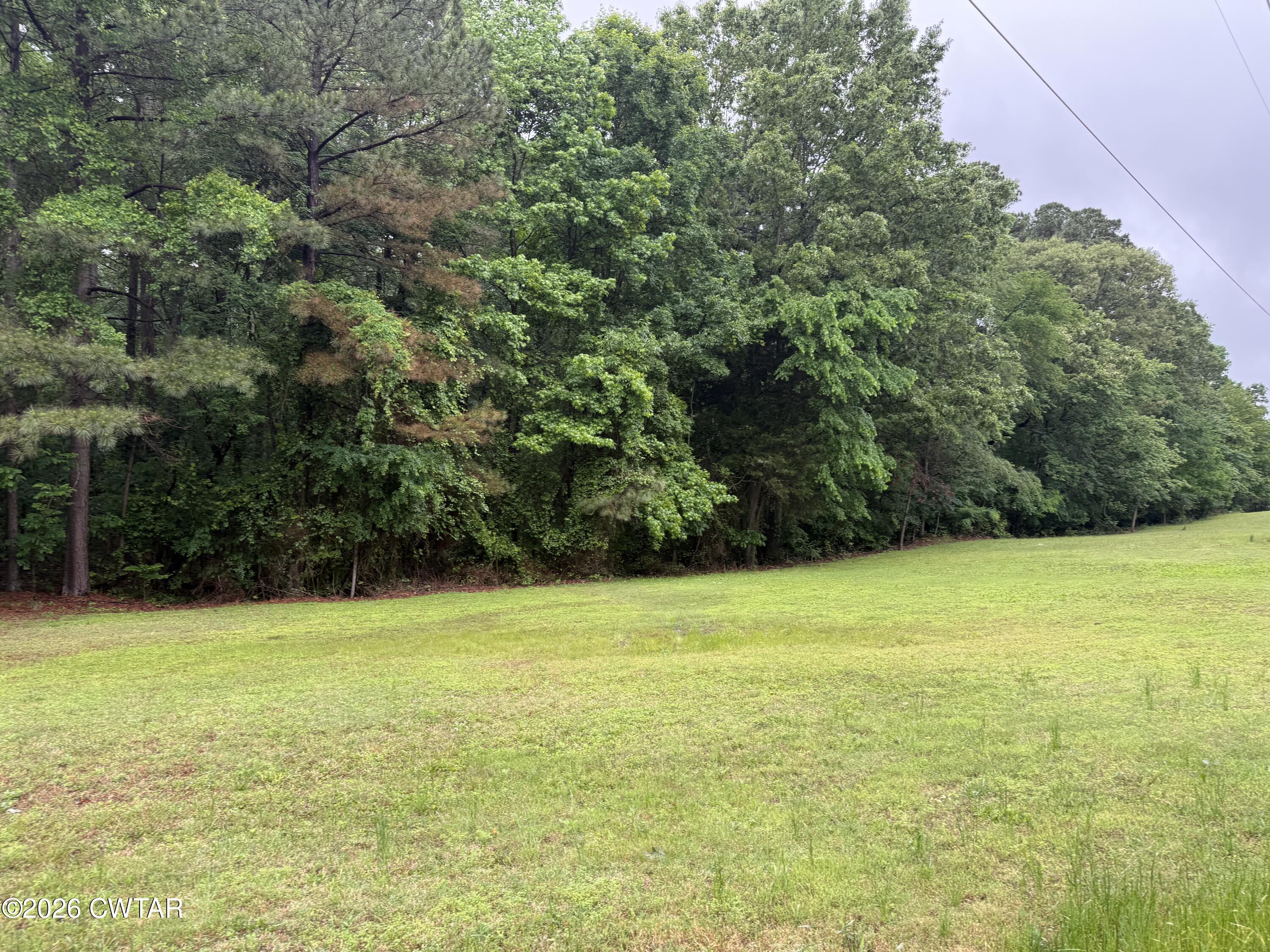 0 Mathis Crossing Road Milan, TN 38358 - Photo 2 of 3 a view of a field with a trees in the background
