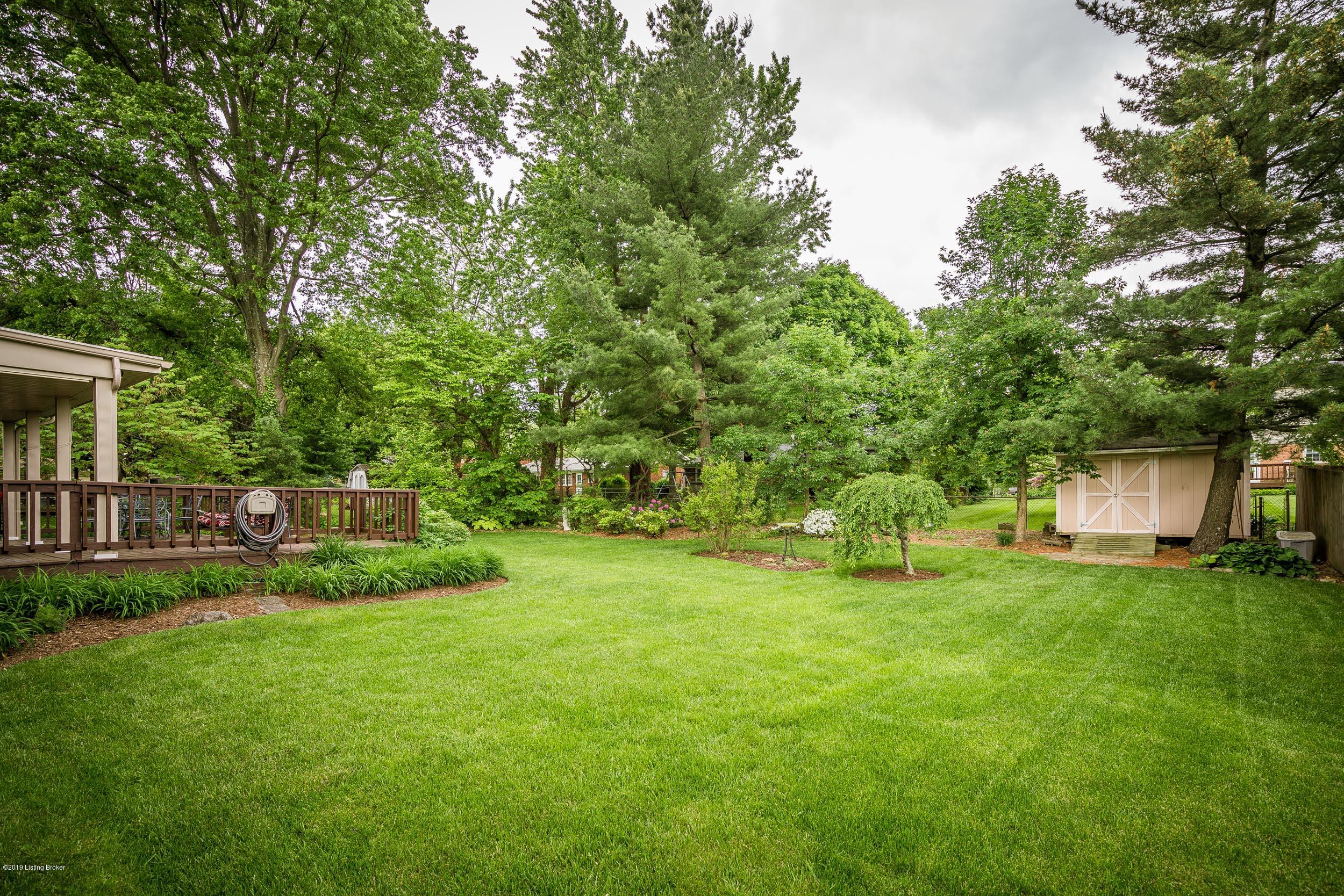 6702 Hollow Tree Road Louisville, KY 40228 - Photo 5 of 29 6702 Hollow Tree Rd-10