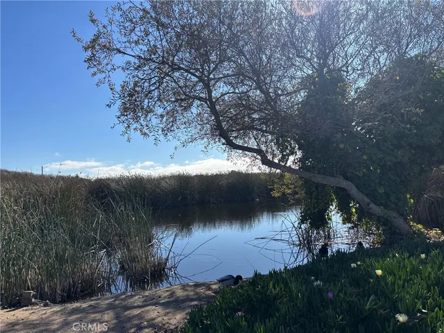 a view of lake from yard