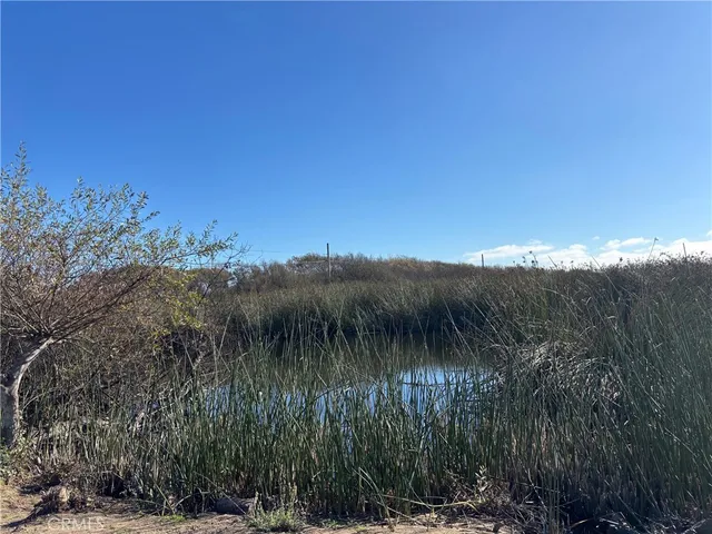 a view of a lake with a mountain in the background