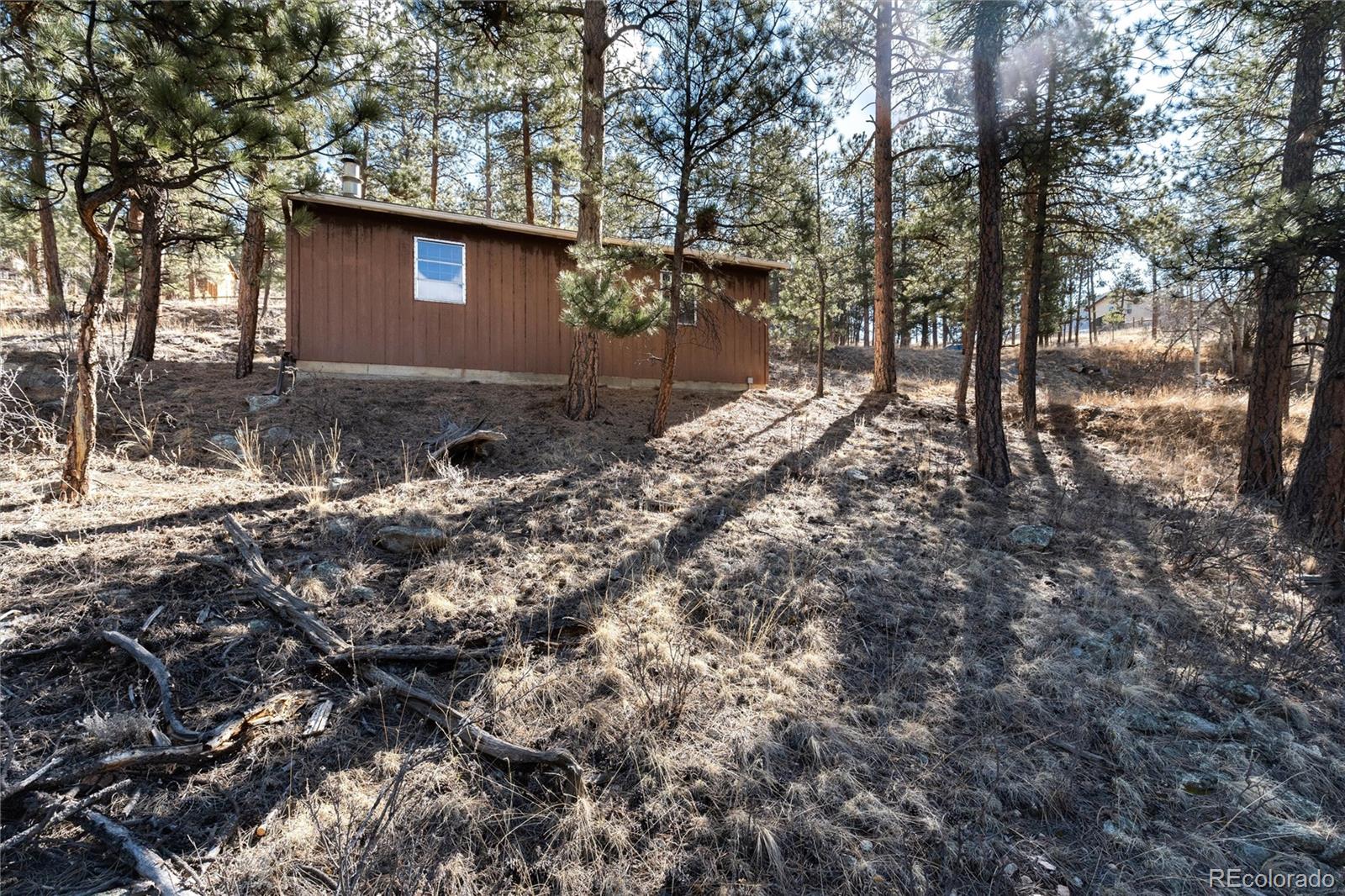 Crest Circle Bailey, CO 80421 - Photo 13 of 40 Gallery Image 13